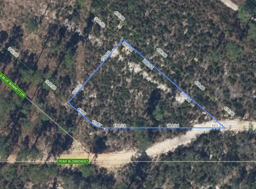 Photo of 6115 PEAR BLOSSOM STREET SEBRING FL 33876