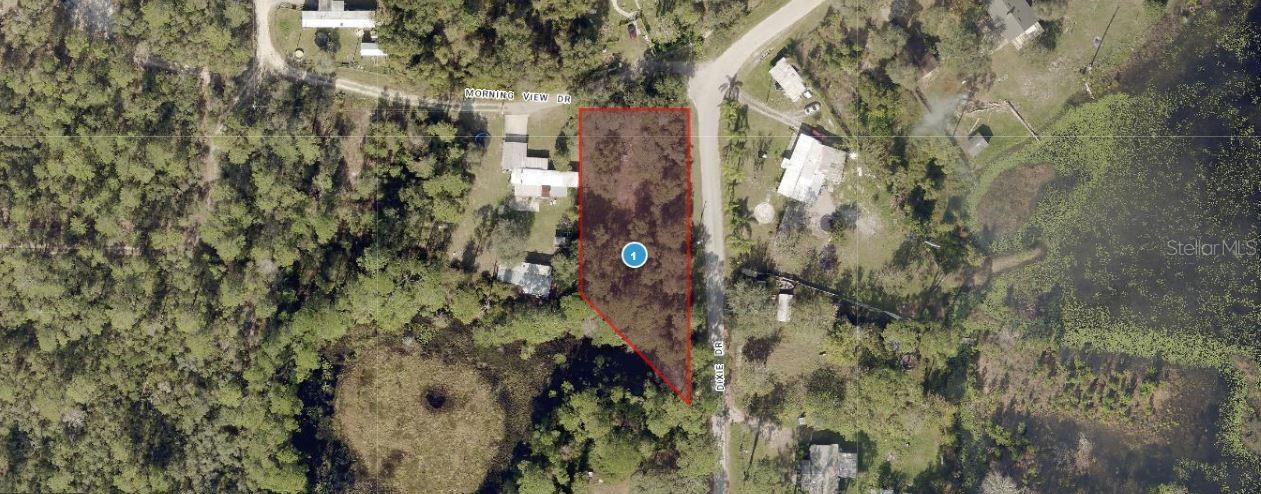 Photo of MORNING VIEW DRIVE PAISLEY FL 32767