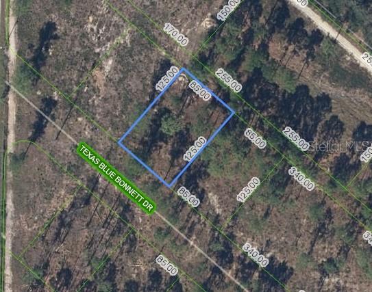 Photo of 6139 TEXAS BLUE BONNETT DRIVE SEBRING FL 33876