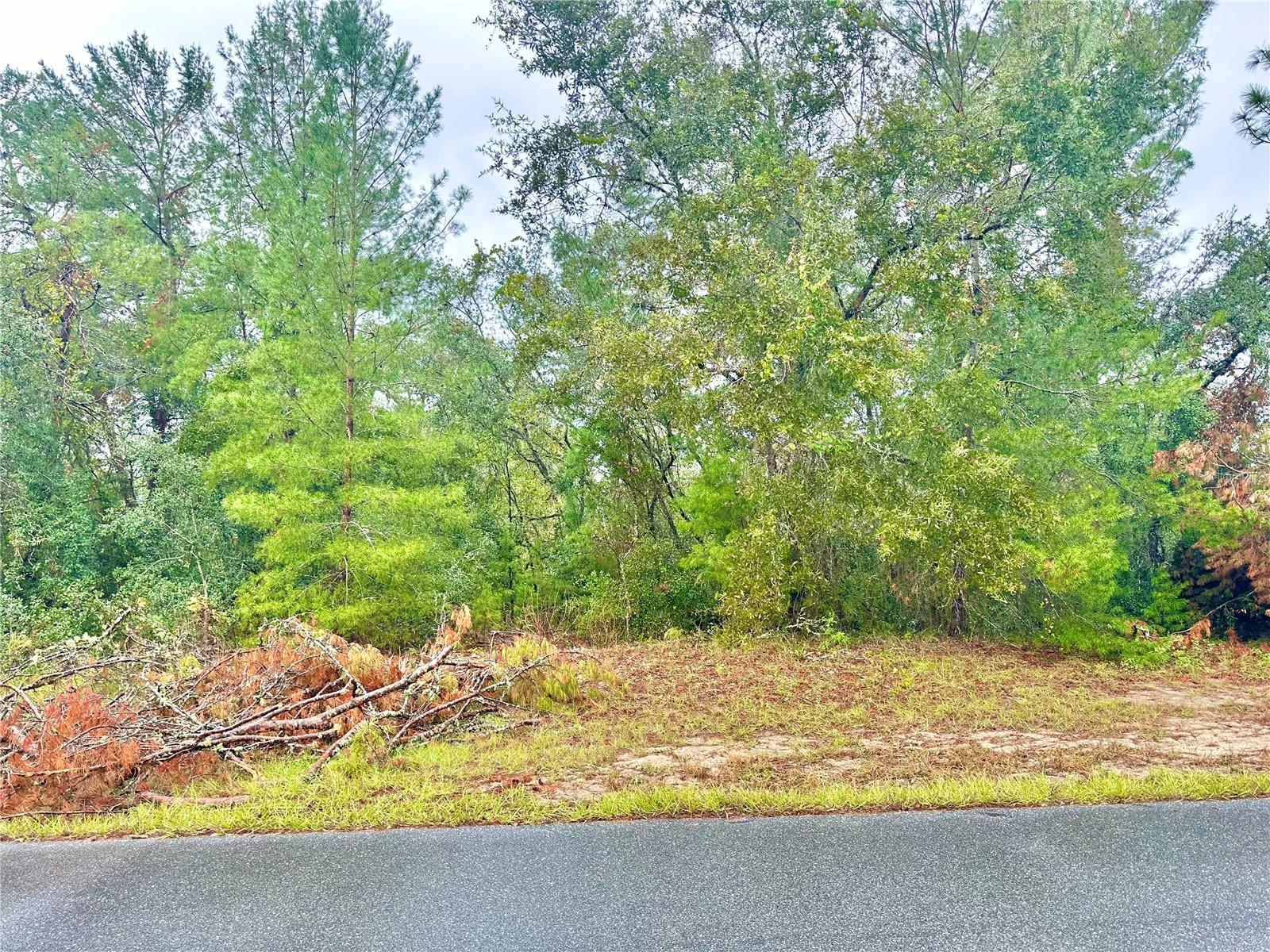 Photo of TBD SW 46TH TERRACE #Lot 41 OCALA FL 34473