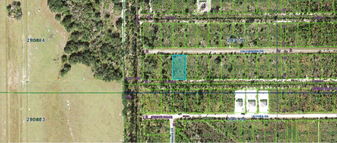 Photo of CALLIANDRA DRIVE INDIAN LAKE ESTATES FL 33855
