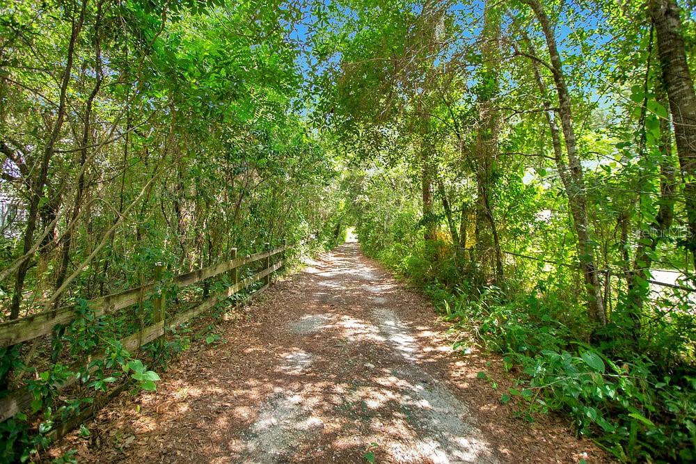 Photo of 8816 TREVARTHON ROAD ORLANDO FL 32817