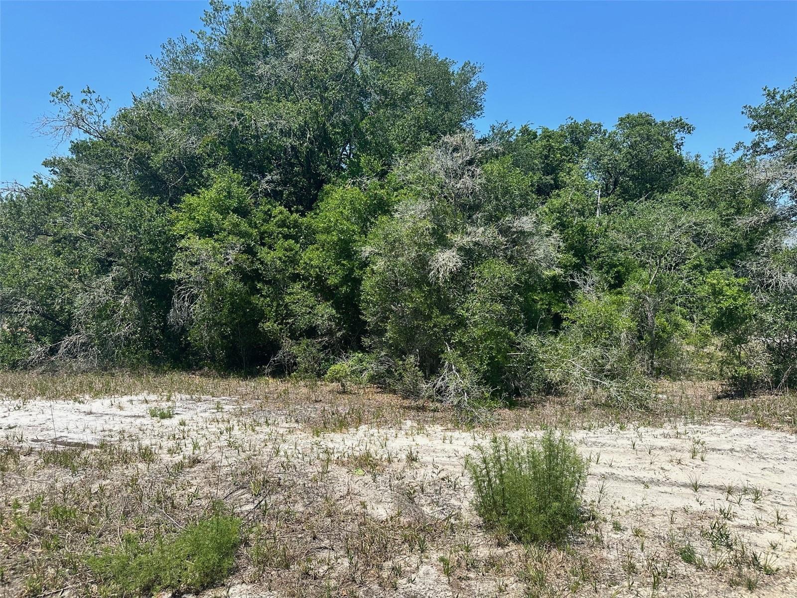 Photo of TBD ORANGE ROAD OCKLAWAHA FL 32179