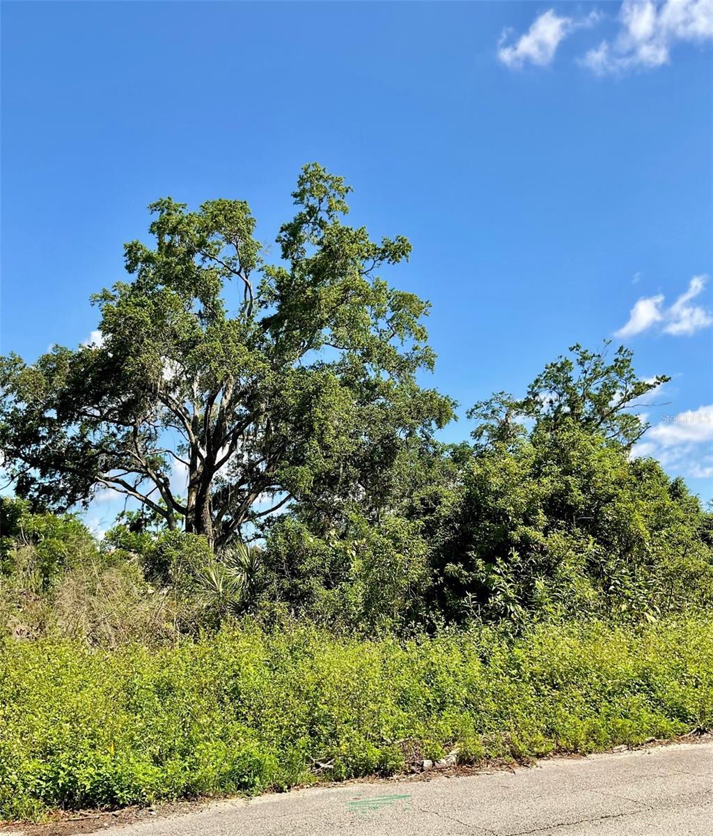 Photo of PAIGE AVENUE NEW SMYRNA BEACH FL 32168