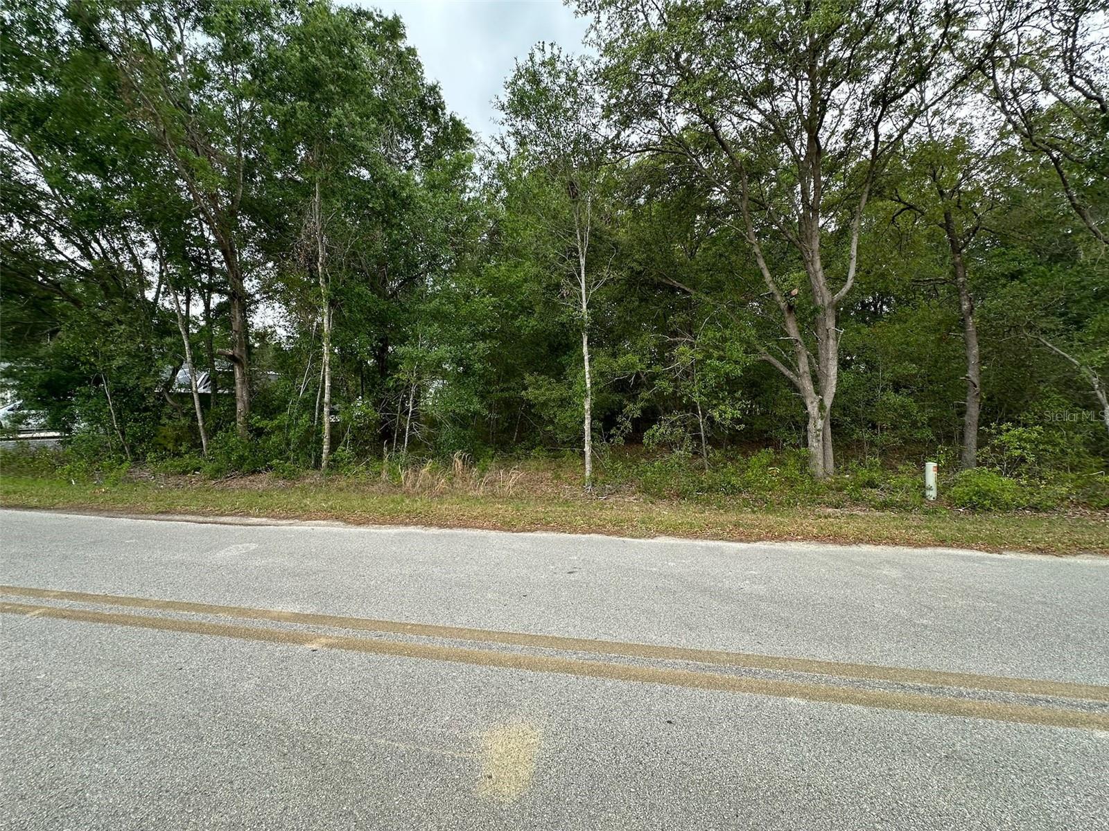 Photo of SE 86TH COURT BELLEVIEW FL 34420