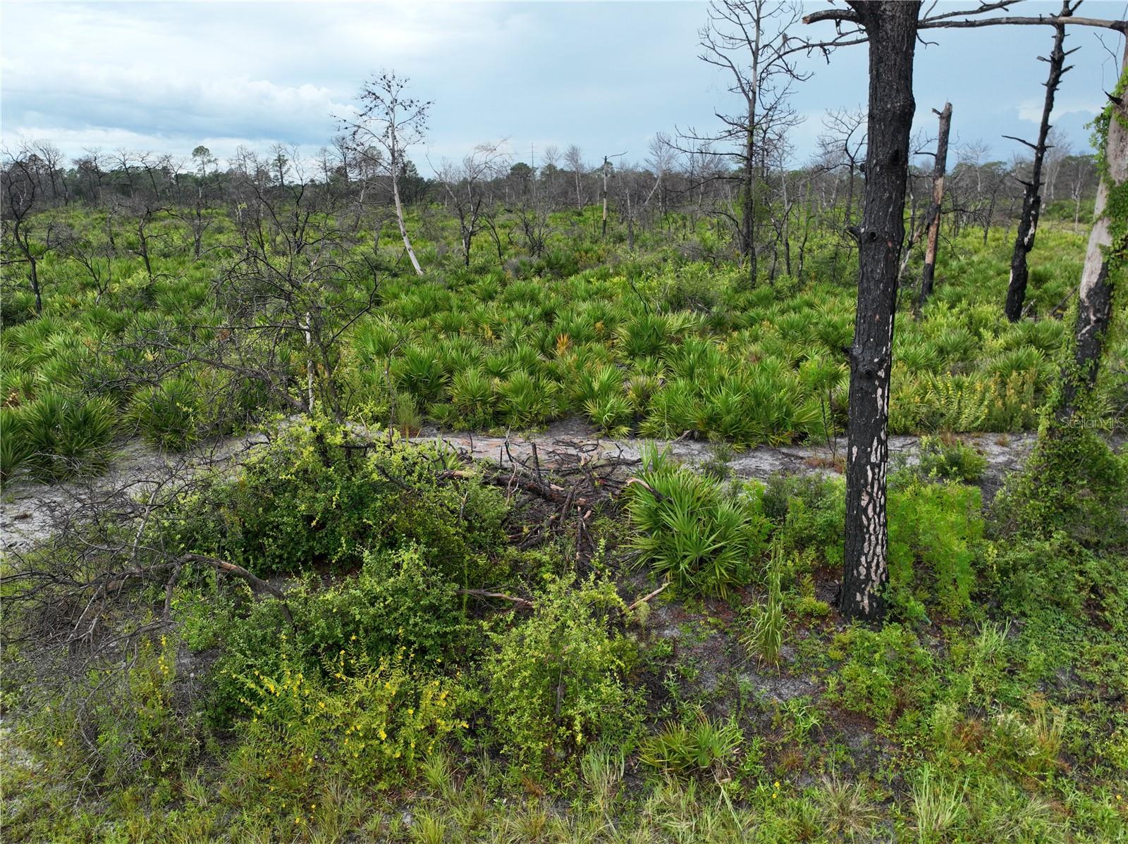 Photo of 3520 MARIANA AVENUE LAKE PLACID FL 33852