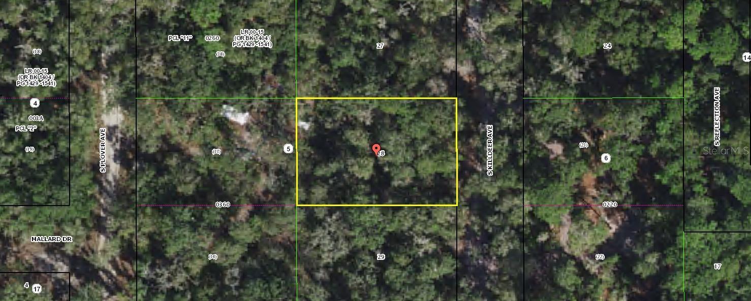 Photo of 3966 S KILLDEER AVENUE INVERNESS FL 34450