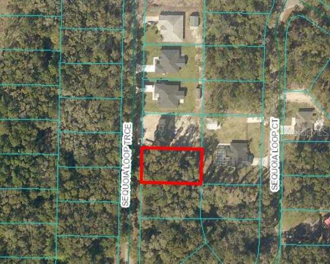 Photo of 17 SEQUOIA LOOP TRACE OCKLAWAHA FL 32179