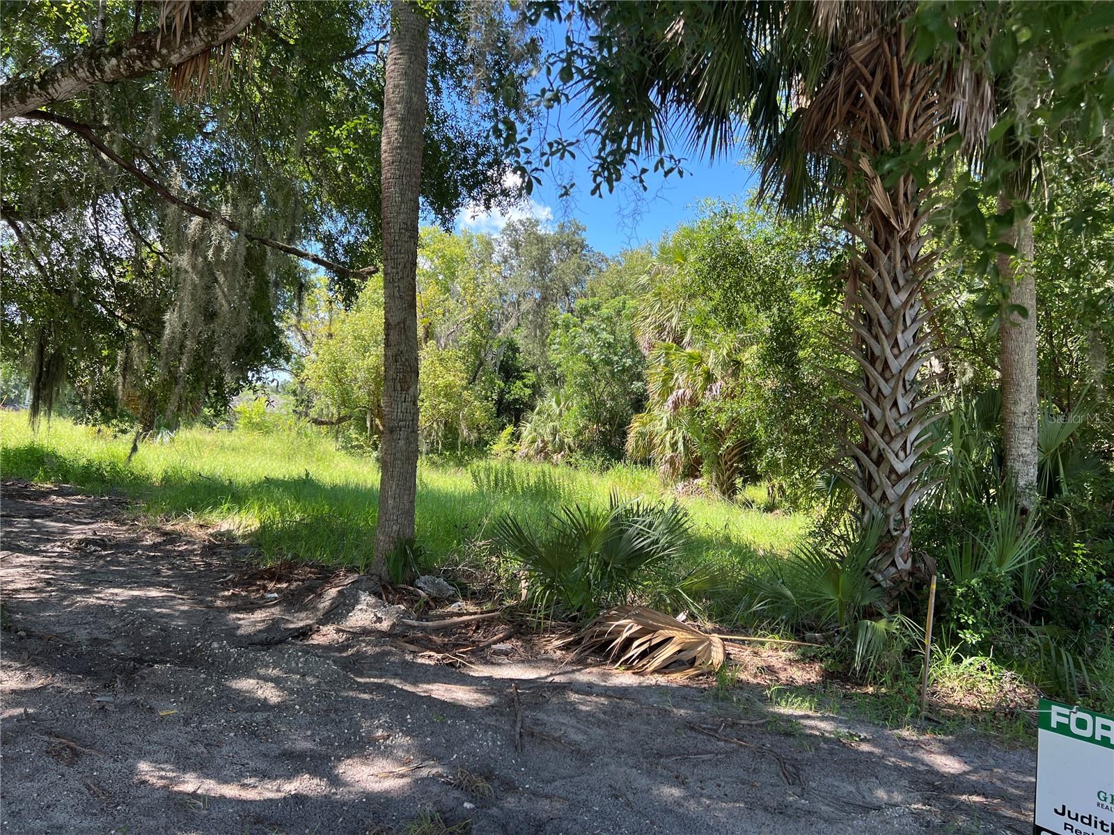 Photo of 104 W MICHAEL GLADDEN BOULEVARD APOPKA FL 32703
