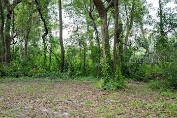 Photo of 8641 HIGH STREET YALAHA FL 34797