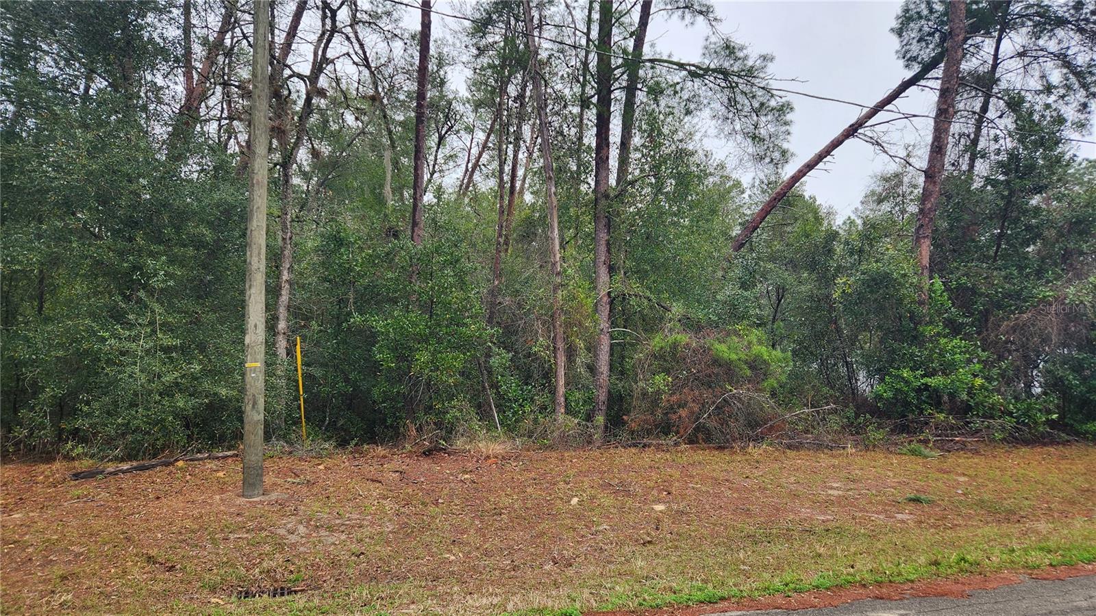Photo of LOCUST COURSE RADIAL OCALA FL 34472