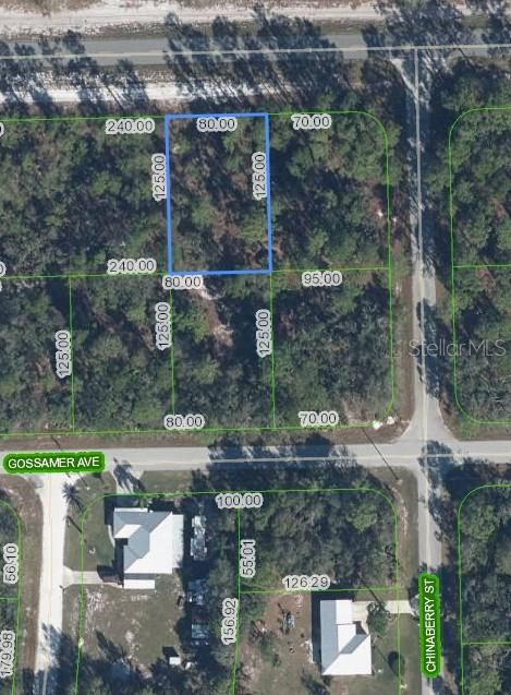 Photo of 3226 LAKE JUNE BOULEVARD LAKE PLACID FL 33852