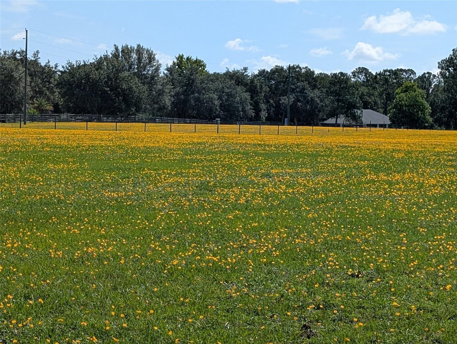 Photo of GREEN SWAMP ROAD CLERMONT FL 34714