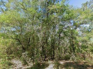 Photo of 491 E NEMO DRIVE DUNNELLON FL 34434