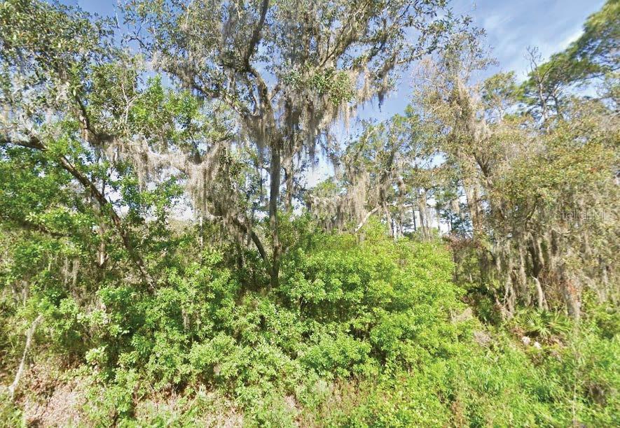 Photo of 119 TEMPLE AVENUE CRESCENT CITY FL 32112