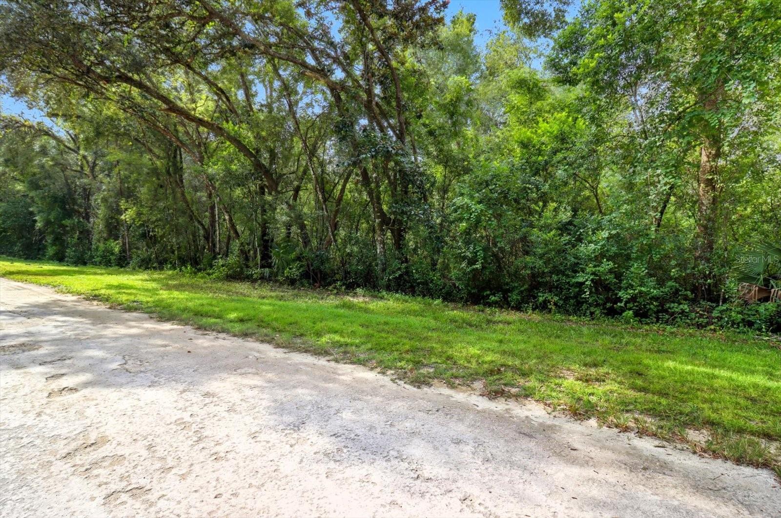 Photo of 0 MONROE AVENUE BROOKSVILLE FL 34604