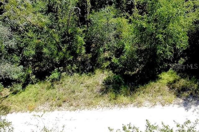 Photo of 0 NE 138TH TERRACE WILLISTON FL 32696