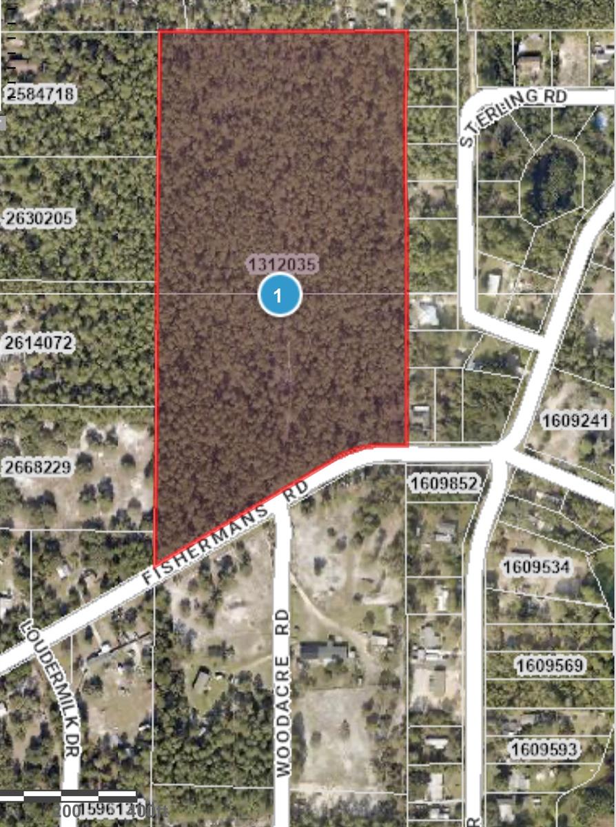 Photo of FISHERMANS ROAD PAISLEY FL 32767