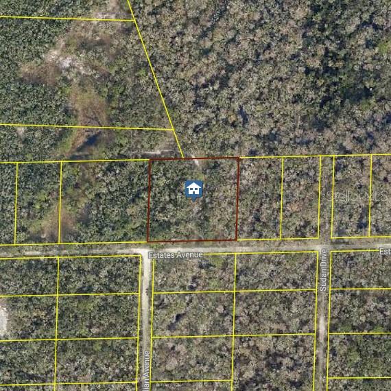 Photo of ROSE BLOOM AVE WEBSTER FL 33597