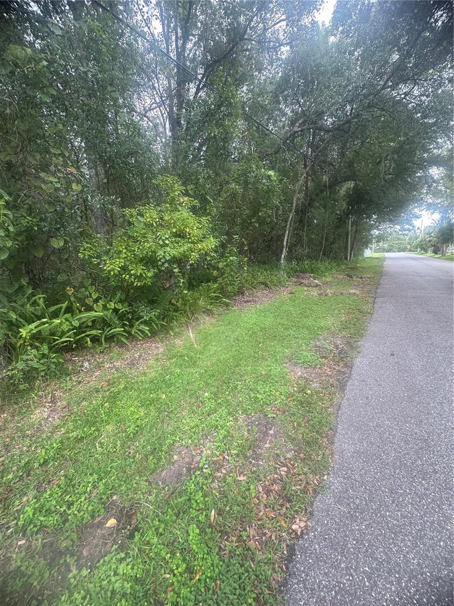 Photo of 6117 CORNELIA AVENUE ORLANDO FL 32807