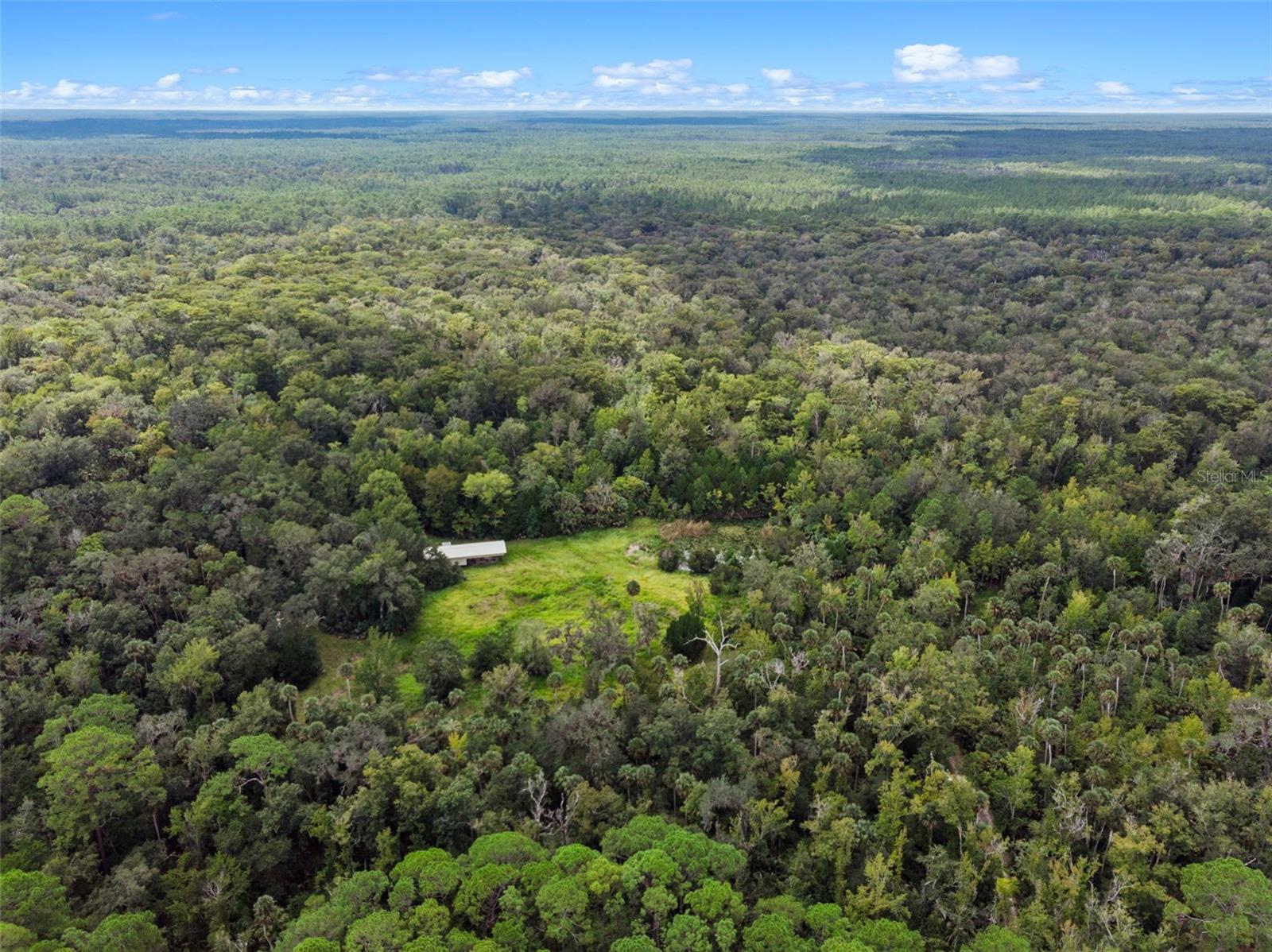 Photo of NFS 73 / ALCO ROAD ASTOR FL 32102