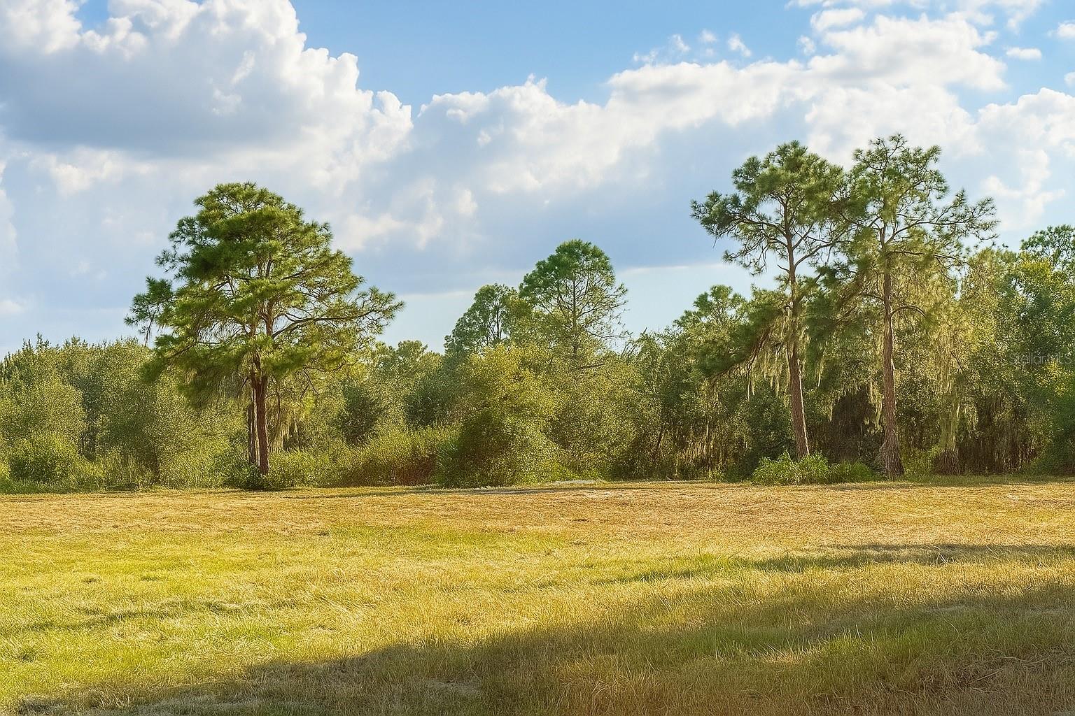 Photo of 1205-1209 W ALEXANDER STREET PLANT CITY FL 33563