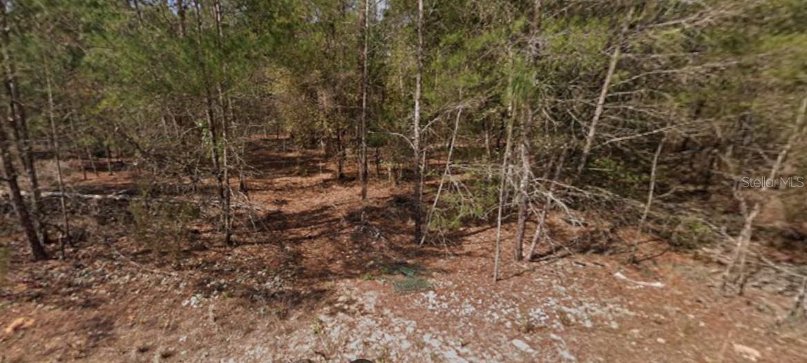 Photo of SE 5TH AVENUE INTERLACHEN FL 32148