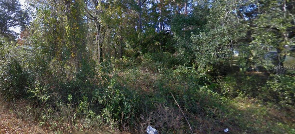 Photo of SE 173RD COURT SILVER SPRINGS FL 34488