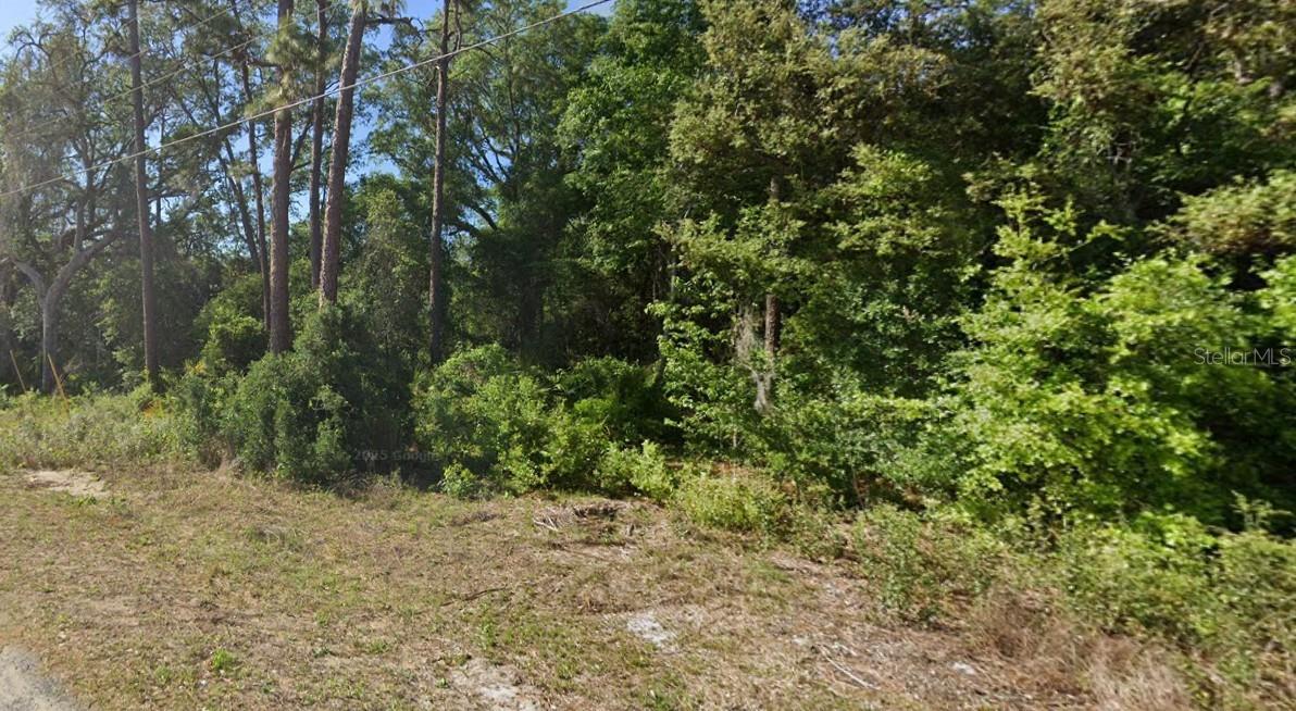 Photo of SE 17TH LANE OCKLAWAHA FL 32179