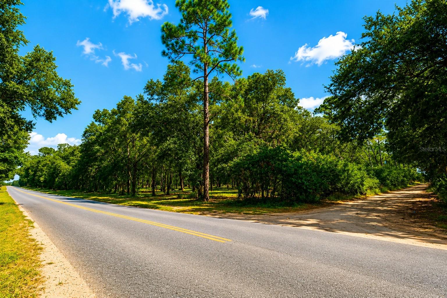 Photo of ROLLING ARES ROAD LADY LAKE FL 32159
