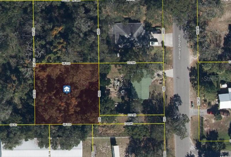 Photo of 2834 WINIFRED AVENUE ZELLWOOD FL 32798