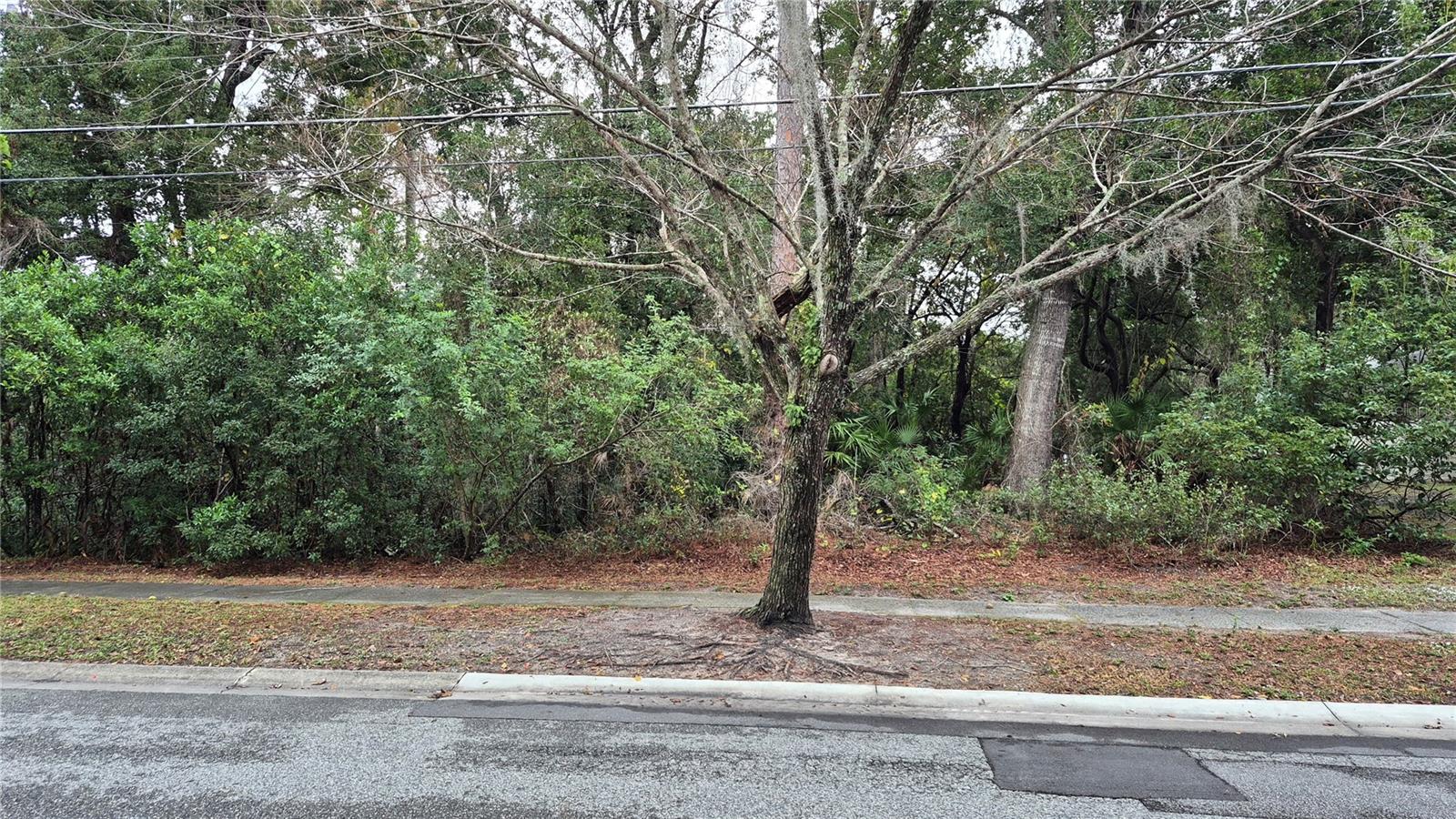 Photo of No Address Listed WINTER SPRINGS FL 32708
