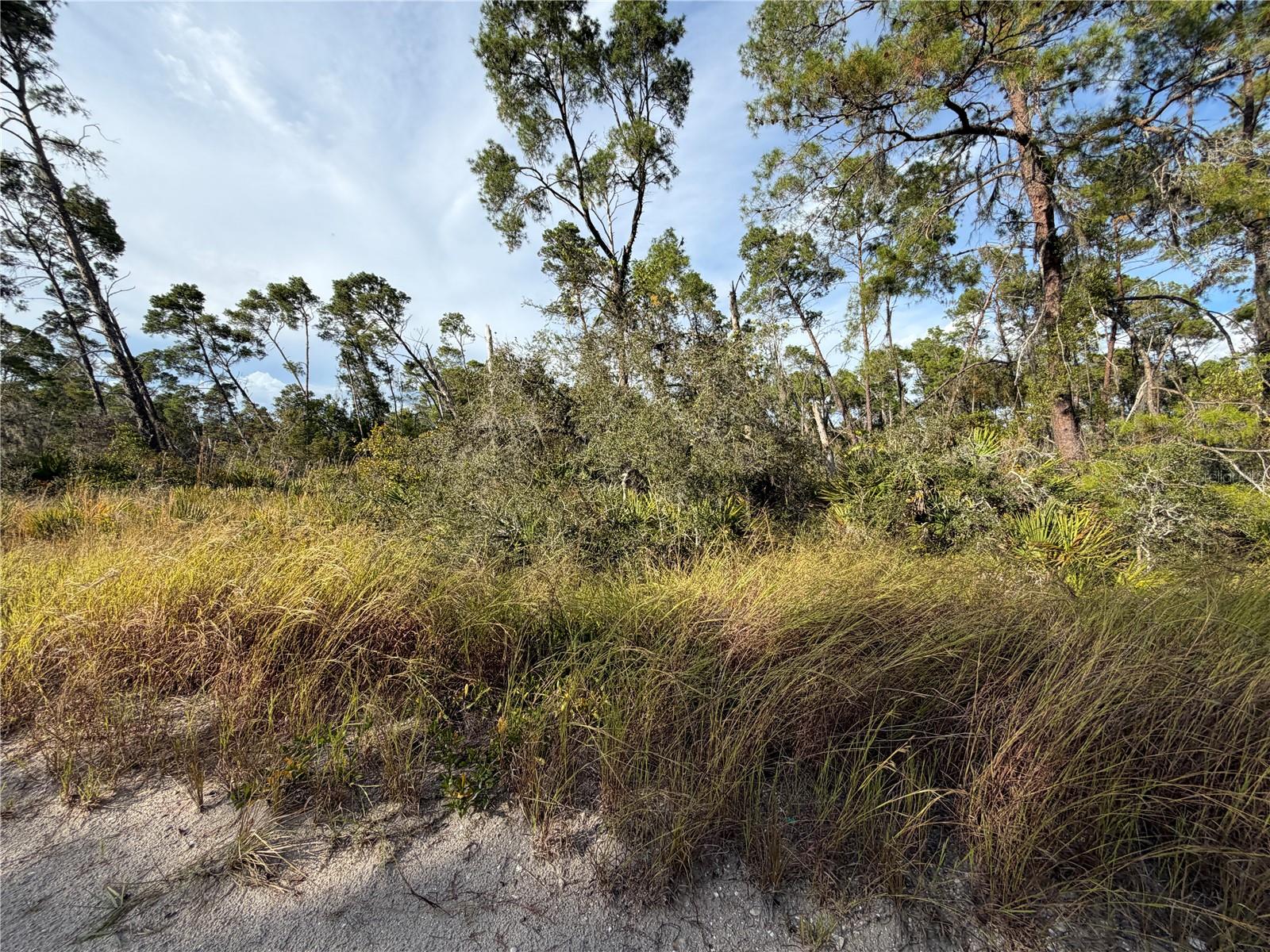 Photo of 478 DARTER AVENUE SEBRING FL 33870