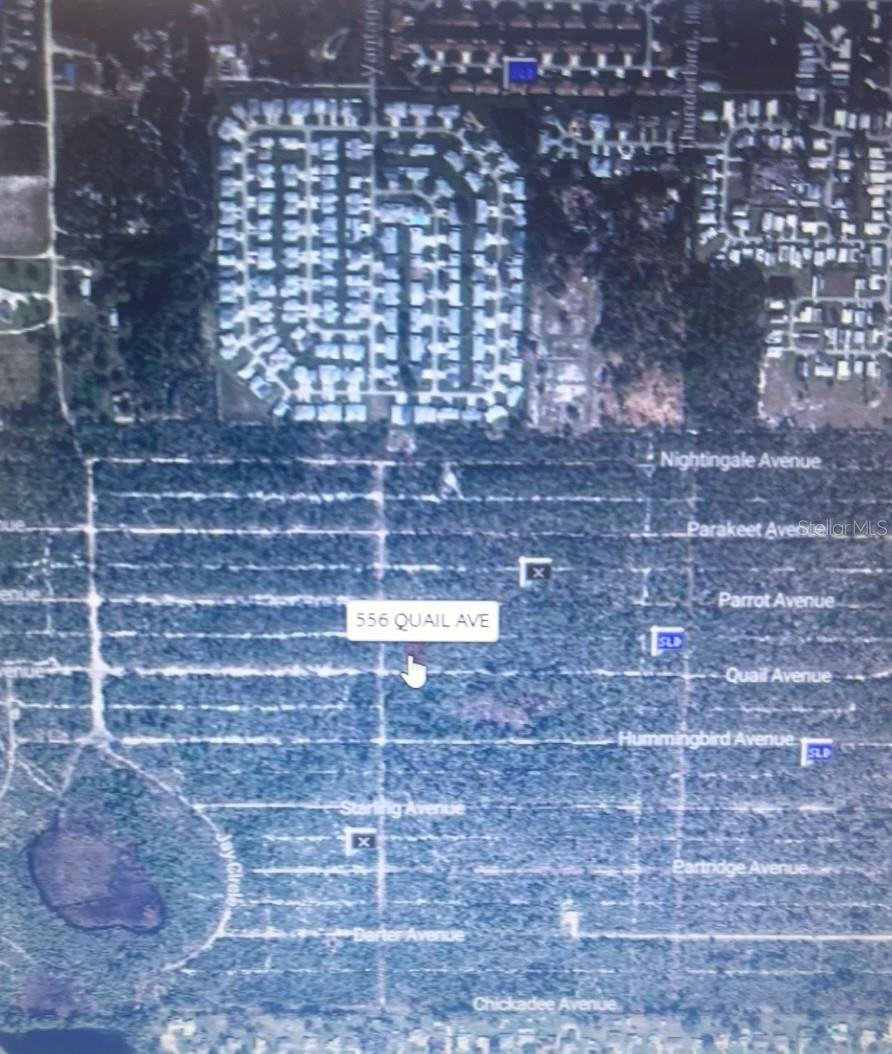Photo of 556 QUAIL AVENUE SEBRING FL 33870