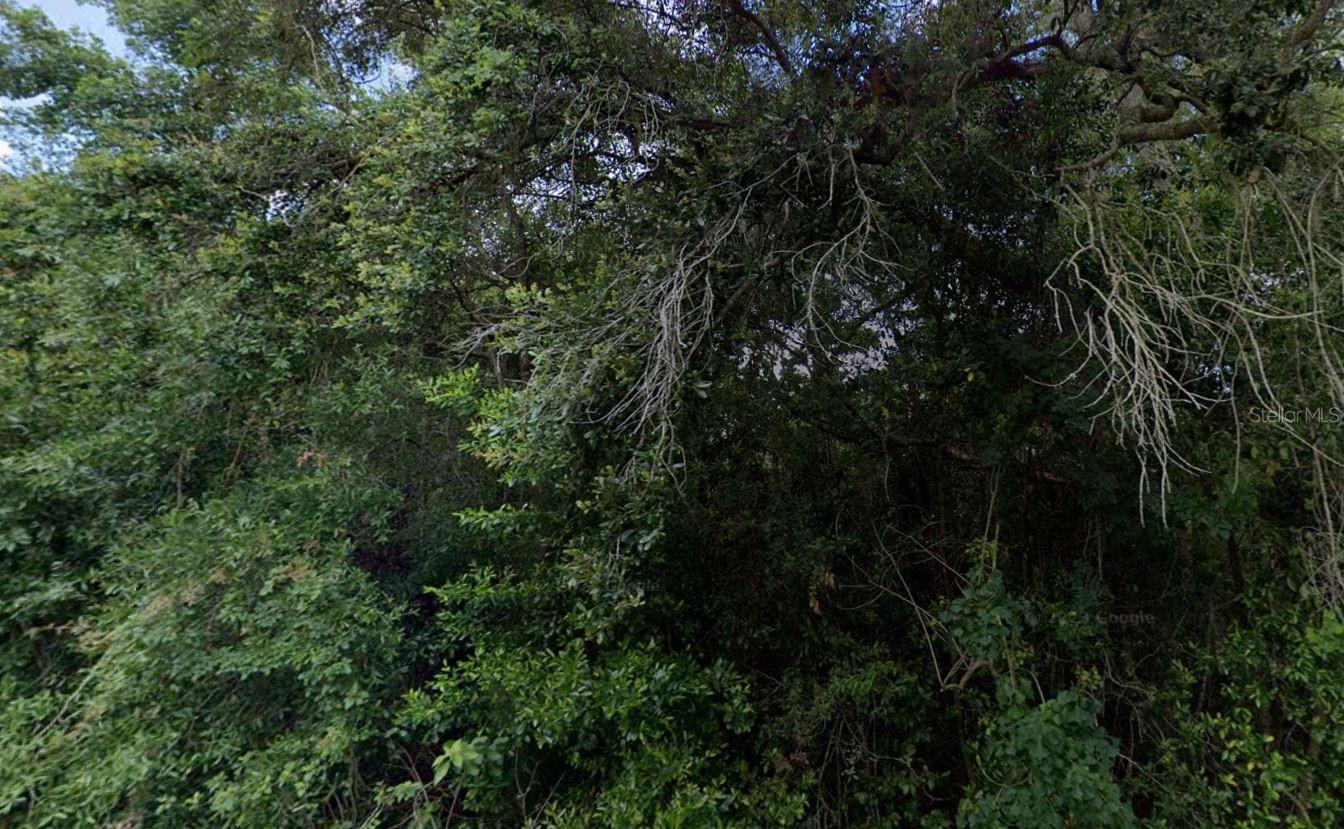 Photo of 3288/3302 E ALISA LANE INVERNESS FL 34453