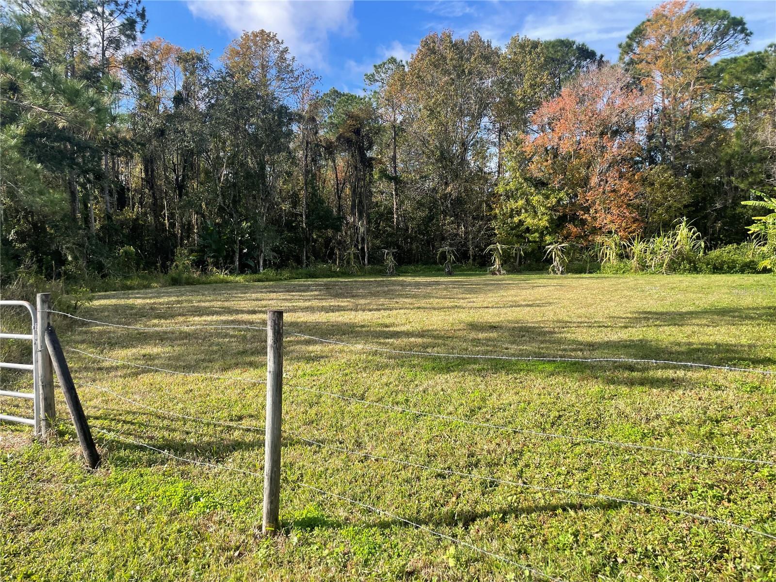Photo of 10548 FLOWERS AVENUE ORLANDO FL 32825