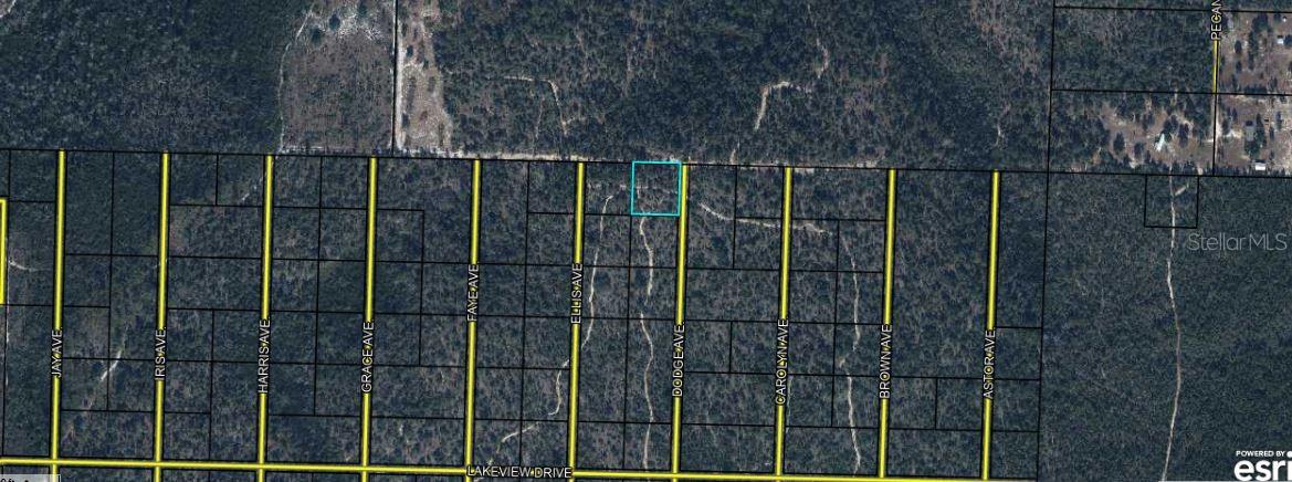 Photo of HIGHWAY 20 YOUNGSTOWN FL 32466