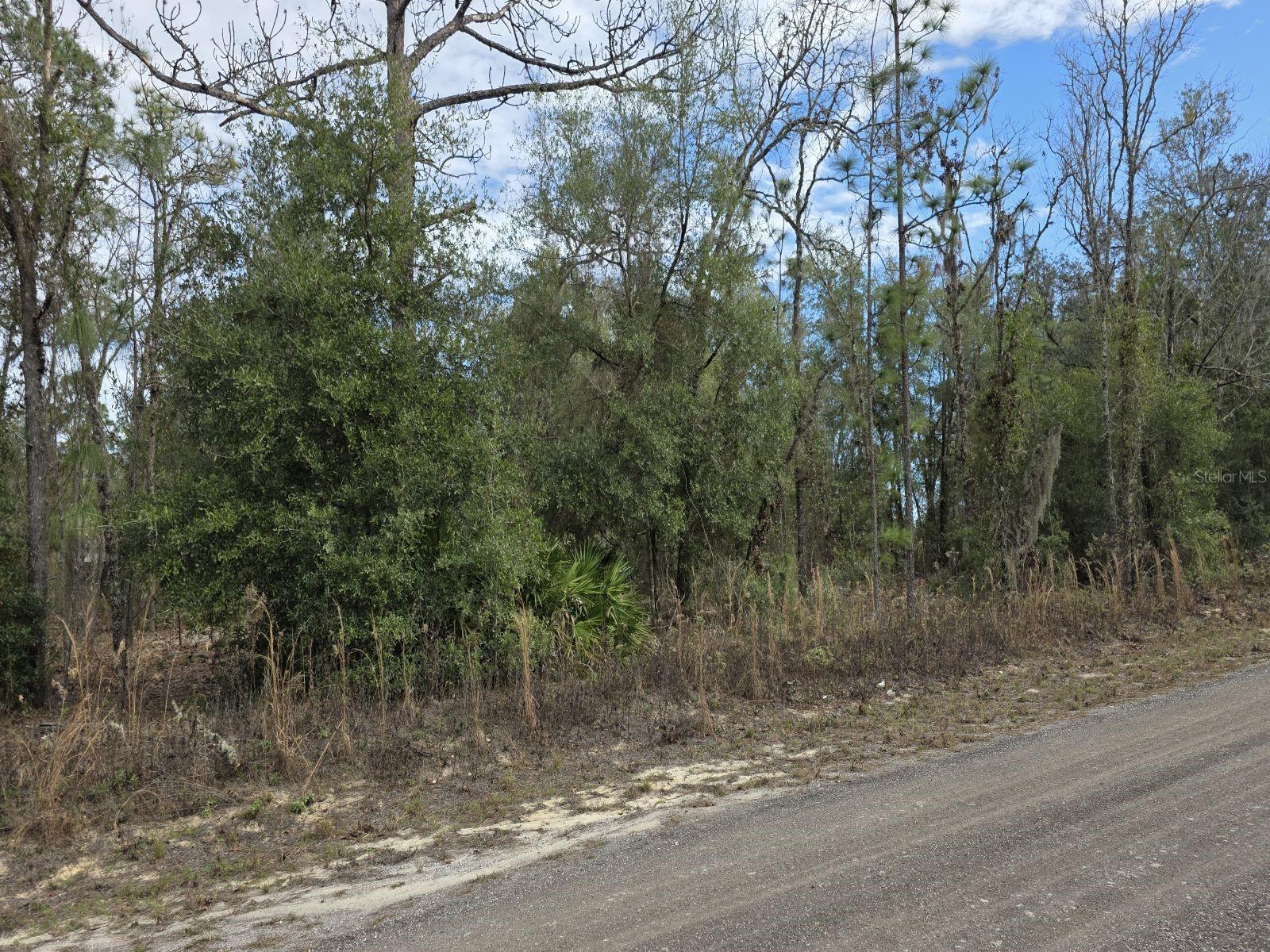 Photo of SW 141ST COURT OCALA FL 34481