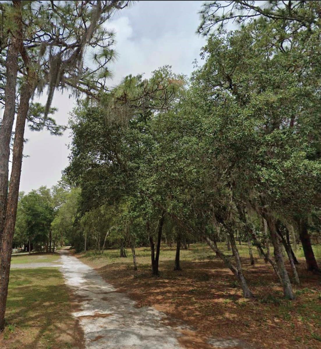 Photo of 1163 E CANVAS LANE HERNANDO FL 34442