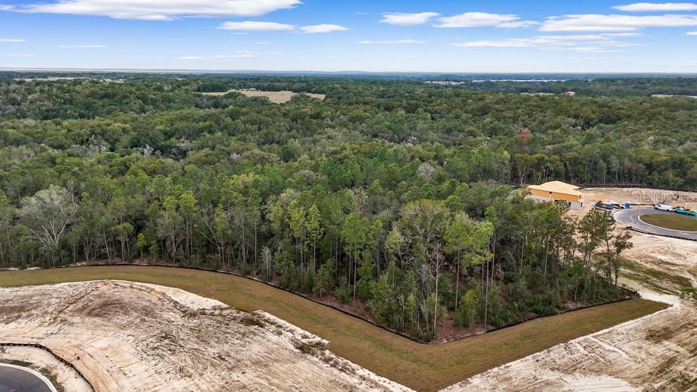 Photo of 4683 HILLY HEIGHTS DRIVE MOUNT DORA FL 32757