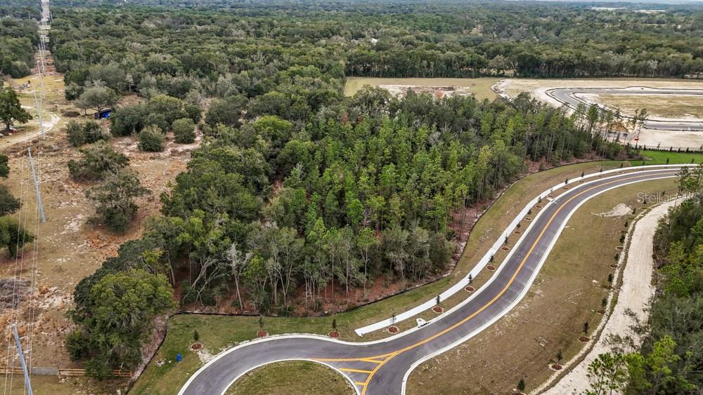 Photo of 5936 STONEYBROOK HILLS PARKWAY MOUNT DORA FL 32757