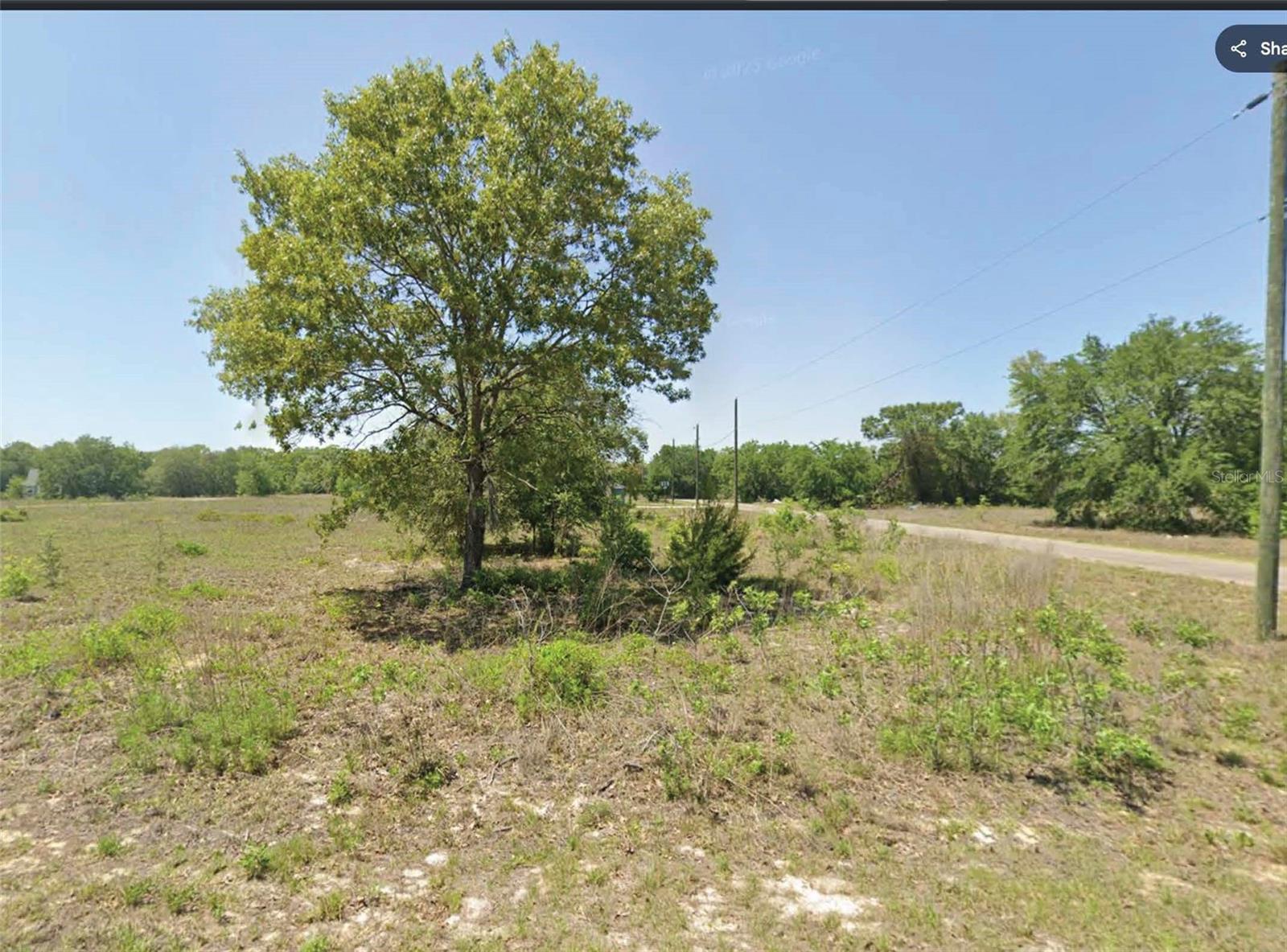 Photo of 00 GUAVA TRACK TRAIL OCKLAWAHA FL 32179