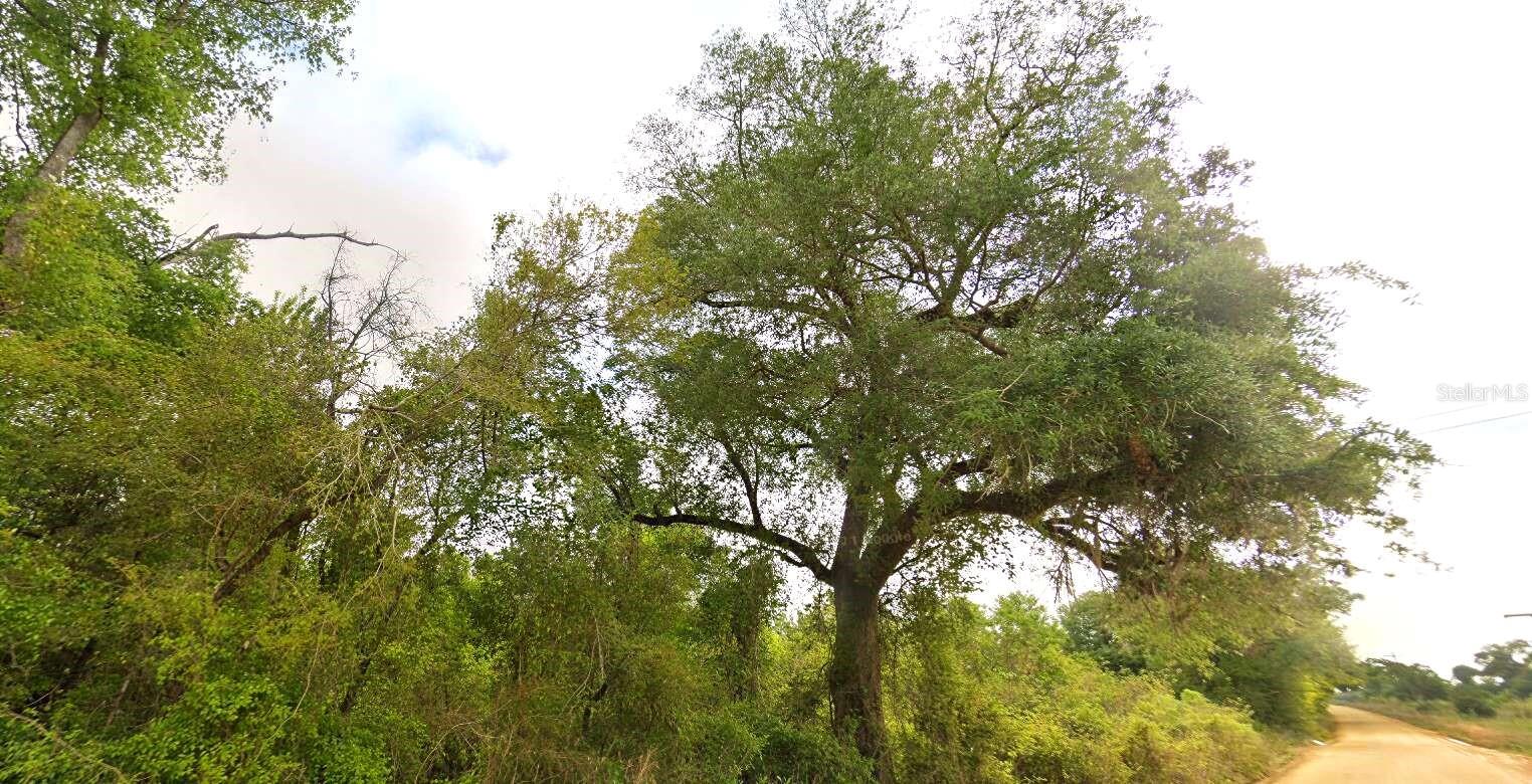 Photo of TBD TOWER ROAD BASCOM FL 32423