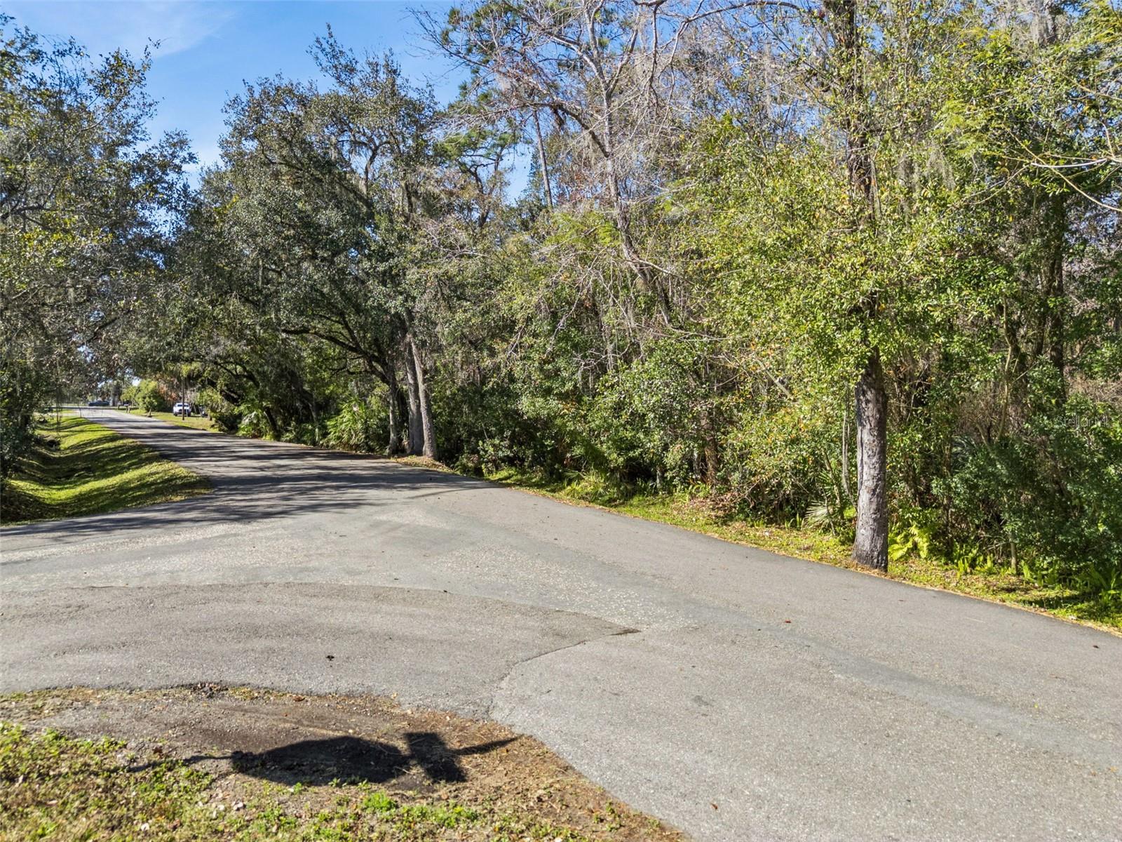 Photo of 1002 BUIST ST ORLANDO FL 32828