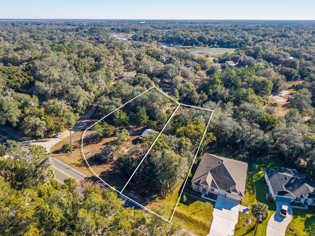 Photo of 31060 LOCHMORE CIRCLE SORRENTO FL 32776