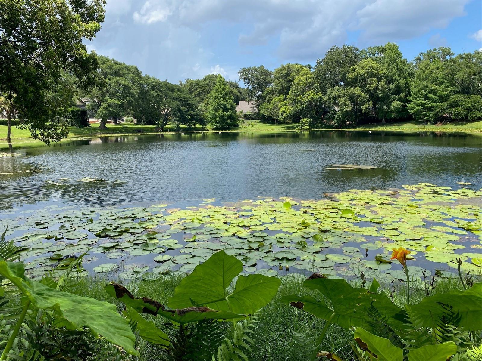 Photo of 1113 VIA DEL MAR WINTER PARK FL 32789