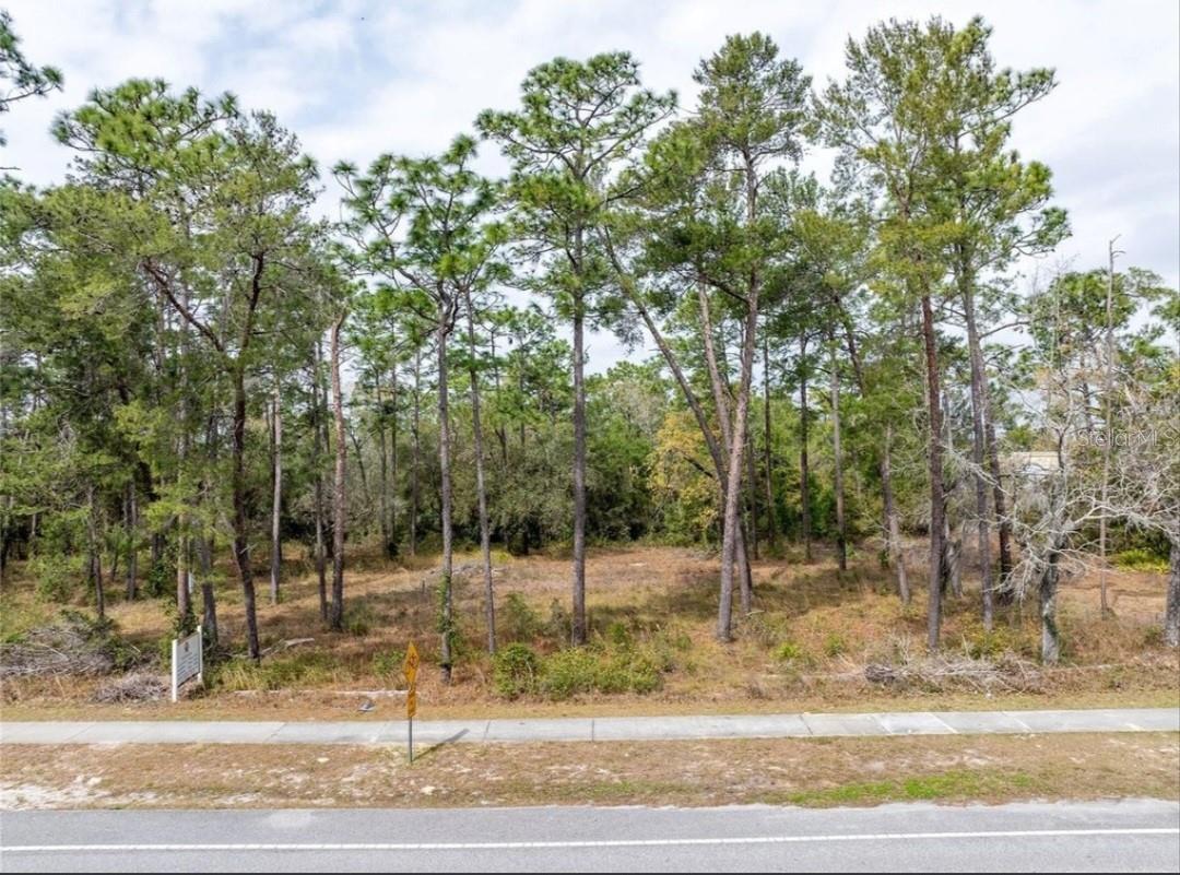 Photo of 1370 COURTLAND BLVD DELTONA FL 32738