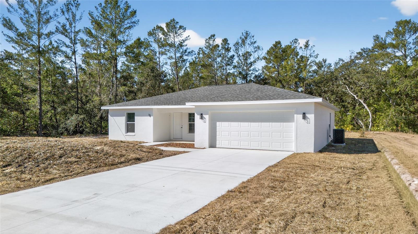 Photo of 12 MALAUKA PASS OCKLAWAHA FL 32179