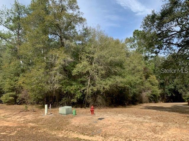Photo of 167 SPARKLEBERRY BOULEVARD QUINCY FL 32351