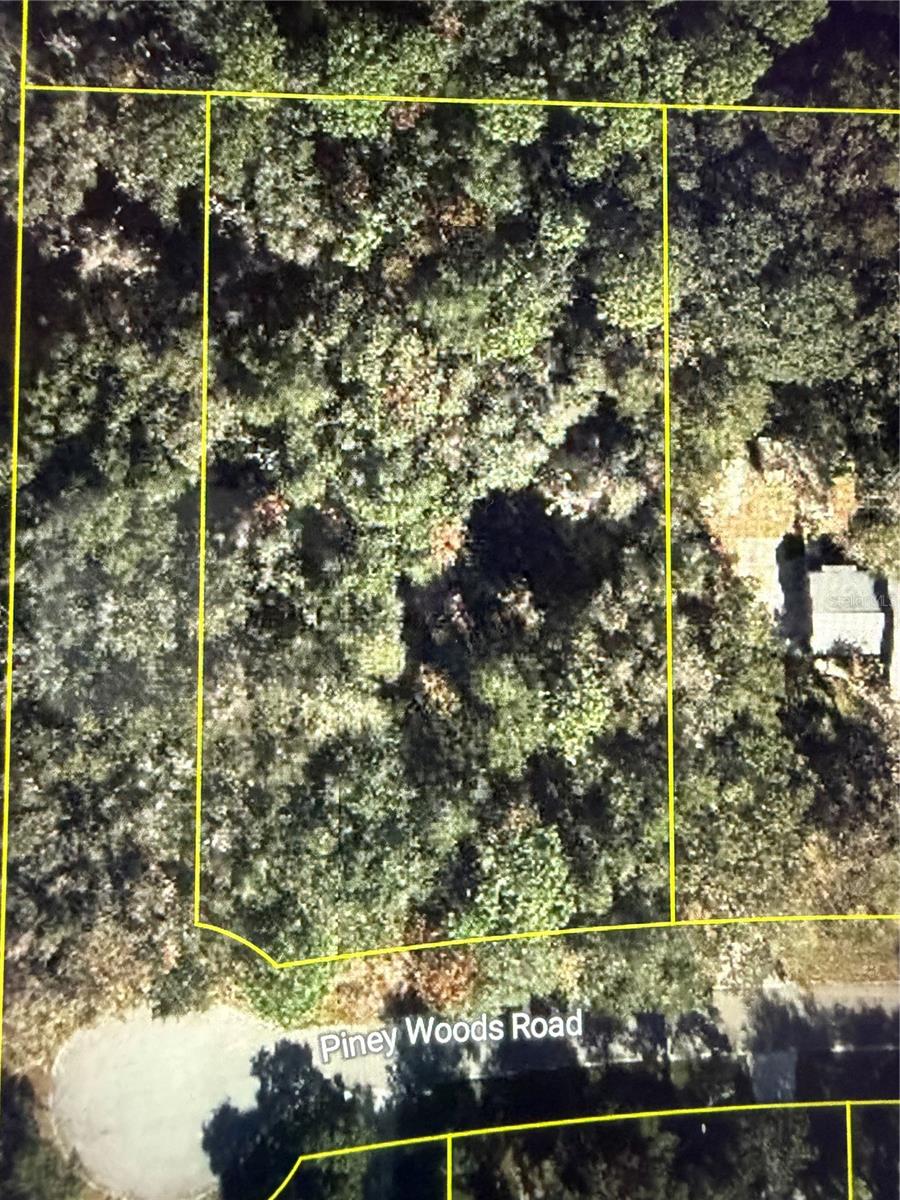 Photo of 101 PINEY WOODS ROAD APOPKA FL 32703